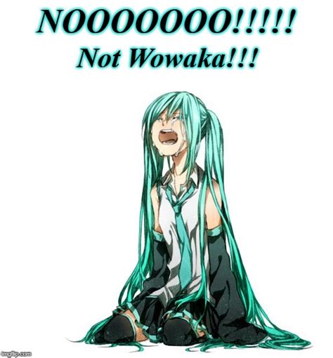 miku meme|miku crying meme.